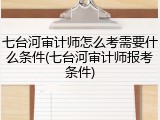 七台河审计师怎么考需要什么条件(七台河审计师报考条件)