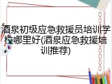 酒泉初级应急救援员培训学校哪里好(酒泉应急救援培训推荐)