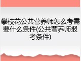 攀枝花公共营养师怎么考需要什么条件(公共营养师报考条件)
