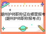 潮州护师职称证在哪里报考(潮州护师职称报考点)