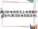 黑河软考高级怎么考需要什么条件(黑河软考高级条件)