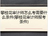 攀枝花审计师怎么考需要什么条件(攀枝花审计师报考条件)