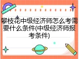 攀枝花中级经济师怎么考需要什么条件(中级经济师报考条件)
