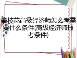 攀枝花高级经济师怎么考需要什么条件(高级经济师报考条件)