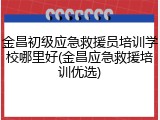 金昌初级应急救援员培训学校哪里好(金昌应急救援培训优选)