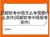 成都软考中级怎么考需要什么条件(成都软考中级报考条件)