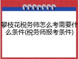 攀枝花税务师怎么考需要什么条件(税务师报考条件)