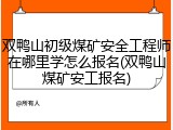 双鸭山初级煤矿安全工程师在哪里学怎么报名(双鸭山煤矿安工报名)