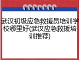 武汉初级应急救援员培训学校哪里好(武汉应急救援培训推荐)