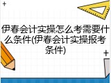 伊春会计实操怎么考需要什么条件(伊春会计实操报考条件)