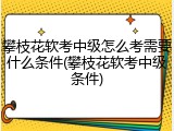 攀枝花软考中级怎么考需要什么条件(攀枝花软考中级条件)