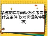 攀枝花软考高级怎么考需要什么条件(软考高级条件要求)