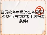自贡软考中级怎么考需要什么条件(自贡软考中级报考条件)