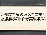 泸州软考高级怎么考需要什么条件(泸州软考高级条件)