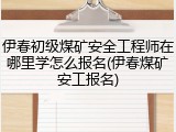 伊春初级煤矿安全工程师在哪里学怎么报名(伊春煤矿安工报名)