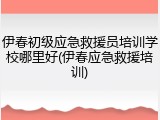 伊春初级应急救援员培训学校哪里好(伊春应急救援培训)