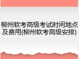 柳州软考高级考试时间地点及费用(柳州软考高级安排)