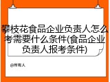 攀枝花食品企业负责人怎么考需要什么条件(食品企业负责人报考条件)