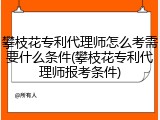 攀枝花专利代理师怎么考需要什么条件(攀枝花专利代理师报考条件)