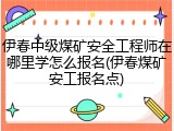 伊春中级煤矿安全工程师在哪里学怎么报名(伊春煤矿安工报名点)