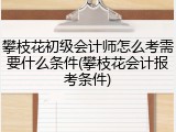 攀枝花初级会计师怎么考需要什么条件(攀枝花会计报考条件)