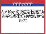 齐齐哈尔初级应急救援员培训学校哪里好(鹤城应急培训优)