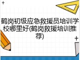 鹤岗初级应急救援员培训学校哪里好(鹤岗救援培训推荐)