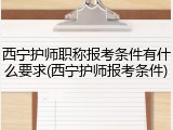 西宁护师职称报考条件有什么要求(西宁护师报考条件)