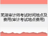 芜湖审计师考试时间地点及费用(审计考试地点费用)