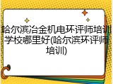 哈尔滨冶金机电环评师培训学校哪里好(哈尔滨环评师培训)