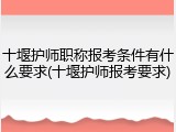 十堰护师职称报考条件有什么要求(十堰护师报考要求)