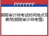 铜陵审计师考试时间地点及费用(铜陵审计师考情)
