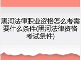 黑河法律职业资格怎么考需要什么条件(黑河法律资格考试条件)