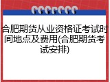 合肥期货从业资格证考试时间地点及费用(合肥期货考试安排)