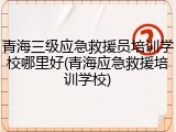 青海三级应急救援员培训学校哪里好(青海应急救援培训学校)