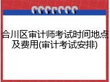 合川区审计师考试时间地点及费用(审计考试安排)