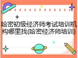 哈密初级经济师考试培训机构哪里找(哈密经济师培训)