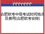 合肥软考中级考试时间地点及费用(合肥软考安排)