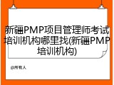 新疆PMP项目管理师考试培训机构哪里找(新疆PMP培训机构)