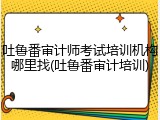 吐鲁番审计师考试培训机构哪里找(吐鲁番审计培训)