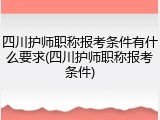 四川护师职称报考条件有什么要求(四川护师职称报考条件)