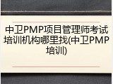 中卫PMP项目管理师考试培训机构哪里找(中卫PMP培训)