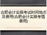 合肥会计实操考试时间地点及费用(合肥会计实操考情费用)