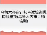 乌鲁木齐审计师考试培训机构哪里找(乌鲁木齐审计师培训)