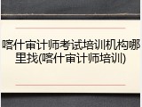 喀什审计师考试培训机构哪里找(喀什审计师培训)