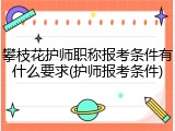 攀枝花护师职称报考条件有什么要求(护师报考条件)