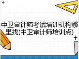 中卫审计师考试培训机构哪里找(中卫审计师培训点)