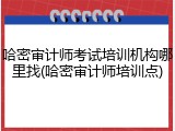 哈密审计师考试培训机构哪里找(哈密审计师培训点)