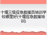 十堰三级应急救援员培训学校哪里好(十堰应急救援培训)
