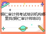 铜仁审计师考试培训机构哪里找(铜仁审计师培训)